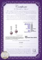 product certificate: FW-L-AAAA-78-E-Colleen