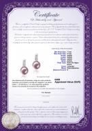 product certificate: FW-L-AAAA-78-E-Valery