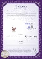 product certificate: FW-L-AAAA-78-L1