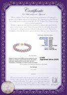product certificate: FW-L-AAAA-8595-B