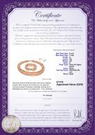 product certificate: FW-P-A-67-S-DBL