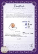 product certificate: FW-P-AA-910-R-Chantel