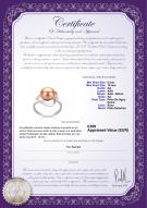 product certificate: FW-P-AA-910-R-Sadie