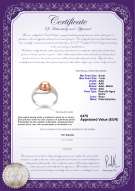 Certificado de producto: FW-P-AAA-67-R-Clare