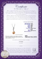 product certificate: FW-P-AAA-910-P-Clementina