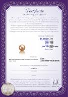 product certificate: FW-P-AAAA-78-L1
