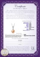 Certificado de producto: FW-P-AAAA-78-P-Daria
