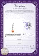 product certificate: FW-P-AAAA-910-P-Rozene