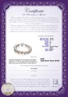 Certificado de producto: FW-W-A-1011-B