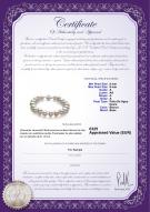 product certificate: FW-W-A-89-B-Kaitlyn