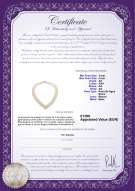  Certificado de producto: FW-W-AA-34-N-VNECK