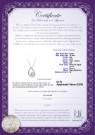 product certificate: FW-W-AA-910-P-Isabella
