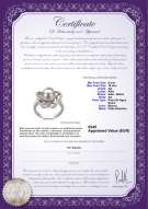 Certificado de producto: FW-W-AA-910-R-Fiona