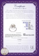 product certificate: FW-W-AA-910-R-Sadie