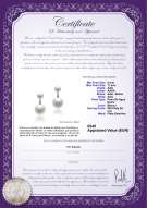 product certificate: FW-W-AAA-611-E-Zelda