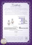 product certificate: FW-W-AAA-89-E-Alina