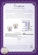 product certificate: FW-W-AAAA-1011-E-Berry