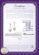 product certificate: FW-W-AAAA-1011-E-Raquel