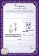 Certificado de producto: FW-W-AAAA-1011-E-Snow