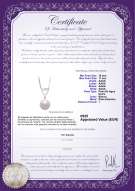 product certificate: FW-W-AAAA-1011-P-Gabrielle