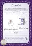 product certificate: FW-W-AAAA-1011-R-Maddie