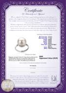 Certificado de producto: FW-W-AAAA-1011-R-Tindra