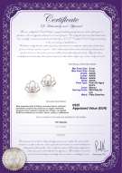 product certificate: FW-W-AAAA-556-E-Princess