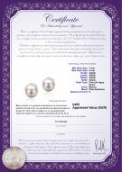product certificate: FW-W-AAAA-78-E-Leslie