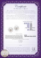 product certificate: FW-W-AAAA-78-E-Morgan