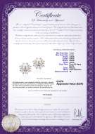 product certificate: FW-W-AAAA-78-E-Natasha