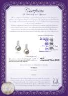 Certificado de producto: FW-W-AAAA-78-E-Valery