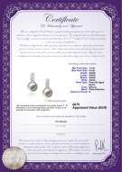 product certificate: FW-W-AAAA-78-E-Valery