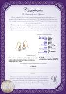 Certificado de producto: FW-W-AAAA-89-E-Artsy