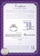 Certificado de producto: FW-W-AAAA-89-R-Eunice