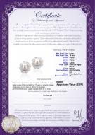 product certificate: FW-W-AAAA-910-E-Leonie