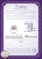 product certificate: FW-W-AAAA-910-R-Bobbie