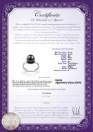 Certificado de producto: JAK-B-AA-89-R-Sarah