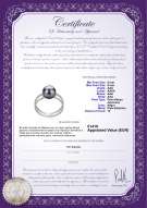 Certificado de producto: JAK-B-AAA-89-R-Rahara