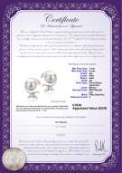 product certificate: JAK-W-AA-78-E-Gilda