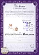 product certificate: P-910-E