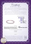 product certificate: P-AA-67-B-OLAV