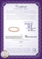 product certificate: P-AA-67-B