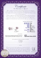 product certificate: P-AA-67-E-SS-OLAV
