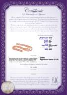 Certificado de producto: P-AA-67-N-TRP