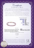 product certificate: P-AAA-67-B-OLAV