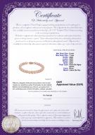product certificate: P-AAA-67-B