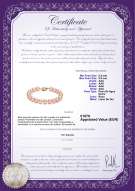 product certificate: P-AAA-89-B