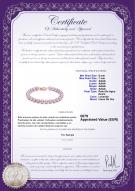 product certificate: P-AAAA-67-B-OLAV