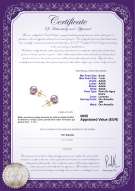 product certificate: P-AAAA-67-E-OLAV