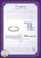 product certificate: P-AAAA-758-B-OLAV